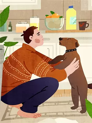 穿书之改命修仙