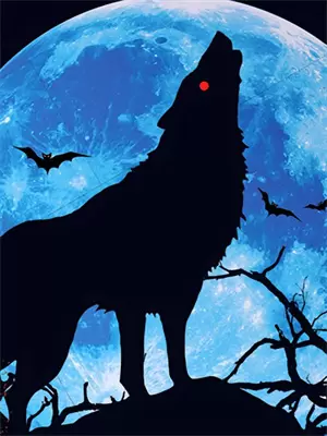 我听见未来的声音是什么歌曲啊