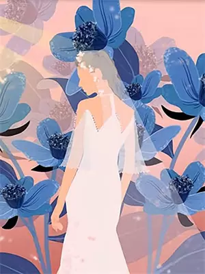 杨老板离婚的小说